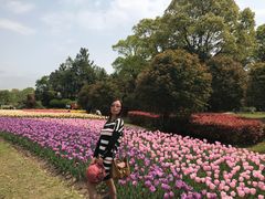 -上海鲜花港