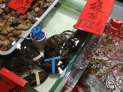 -强记海鲜·大排档(蛇口新街店)