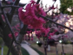 -堤角公园