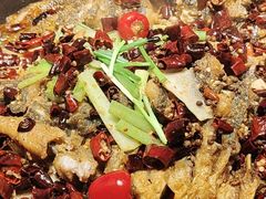 -老板恋上鱼(恒隆广场店)