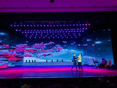 -南风大剧院莎梦二人转剧场