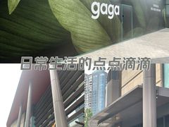 -凤凰汇购物中心
