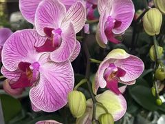 -格蕾花坊(民盈·国贸城店)