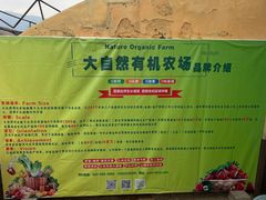 -大自然农场蔬菜草莓采摘园