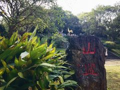 -海口火山口国家地质公园