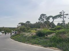 -罗红摄影艺术馆