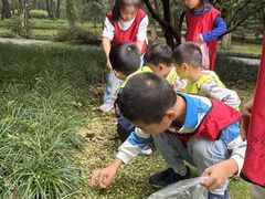 -杭州龙井幼儿园