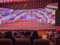 -南风大剧院莎梦二人转剧场