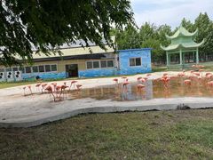 -秦皇岛野生动物园
