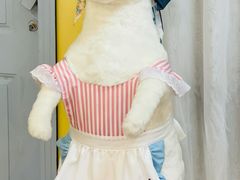 -千浔一暖DIY蛋糕烘焙(人民大学店)