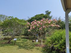 -中国科学院西双版纳热带植物园