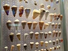 -抱抱地球咖啡馆(国家海洋博物馆店)