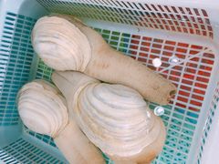 -港畔赶海蒸汽海鲜烧烤自助(仙螺岛店)