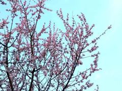 -木塔寺遗址生态公园