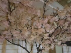-极乐汇汗蒸会馆(杭州店)