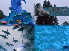 -珠海长隆海洋王国