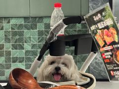 -芸山季·云南野生菌火锅(南翔印象城MEGA店)