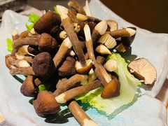 -同仁四季椰子鸡(福田东园总店)