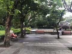 -九龙公园