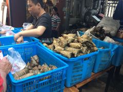 -金太粽(上海弄堂第一粽店)