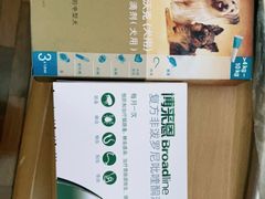 -爱侣宠医·鹦鹉专科·小型哺乳类·异宠专科(灵石路店)