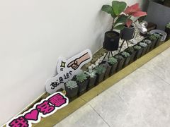 -鹏欣水游城