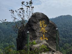 -南山植物园