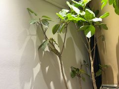 -一江水食府(后湖店)