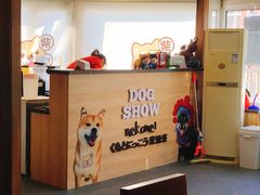 -柴源莊·柴小宠柴犬咖啡