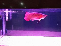 -星巴克(北京西大望路温特莱店)