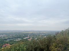 -上海佘山国家森林公园西佘山园