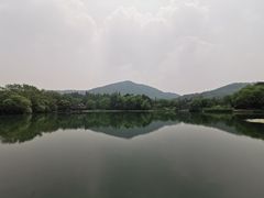 -杭州花家山庄
