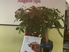 -Angkor SPA 柬埔寨古法按摩(环贸店)