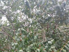 -长春公园(普阳街道)