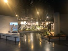 -北京周口店北京人遗址博物馆