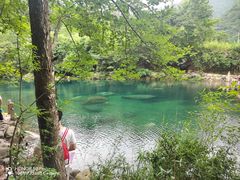 -石台牯牛降景区