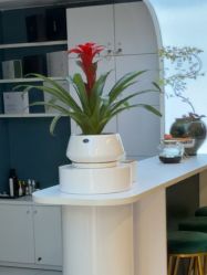 -章光101防脱养发荟