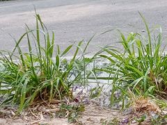 -回龙观体育文化公园