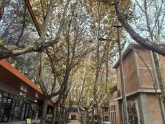 -西安电影制片厂