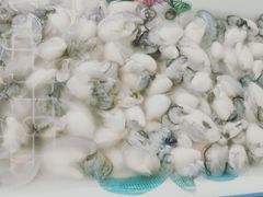 -刘记糟粕醋海鲜烧烤