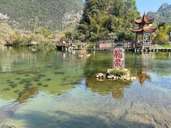 -靖西鹅泉风景区