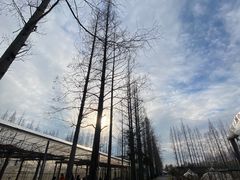 -前小桔亲子创意农场·草莓采摘·露营烧烤