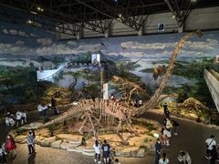 -自贡恐龙博物馆