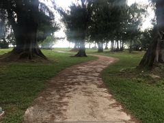景点-美国纪念公园