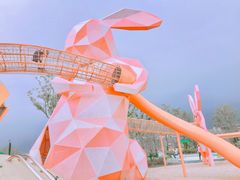 -季高兔窝窝亲子园(上海薰衣草公园店)