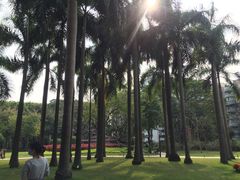 -广州雕塑公园