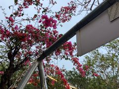 -罗浮山·罗园农庄