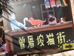 -有猫主题·治愈系猫咖(曾厝垵店)