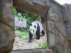 -柳州市动物园