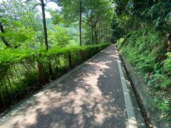 -东莞市大岭山森林公园